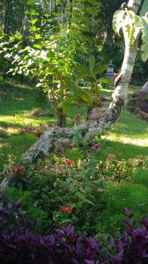 Balian Bliss Retreat Resort - Adults Only Exteriér fotografie