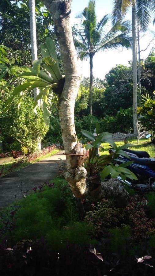 Balian Bliss Retreat Resort - Adults Only Exteriér fotografie