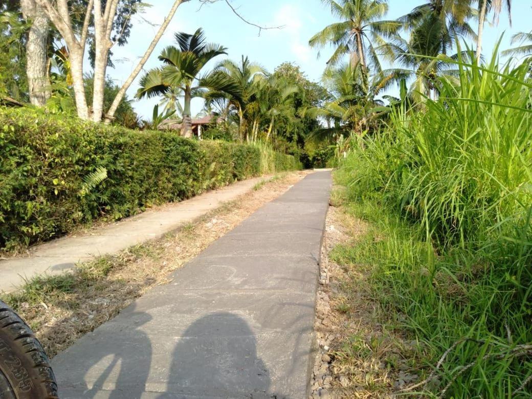 Balian Bliss Retreat Resort - Adults Only Exteriér fotografie